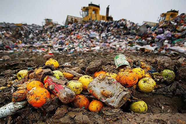 congress-urged-to-save-the-us-billions-by-tackling-pervasive-food-waste