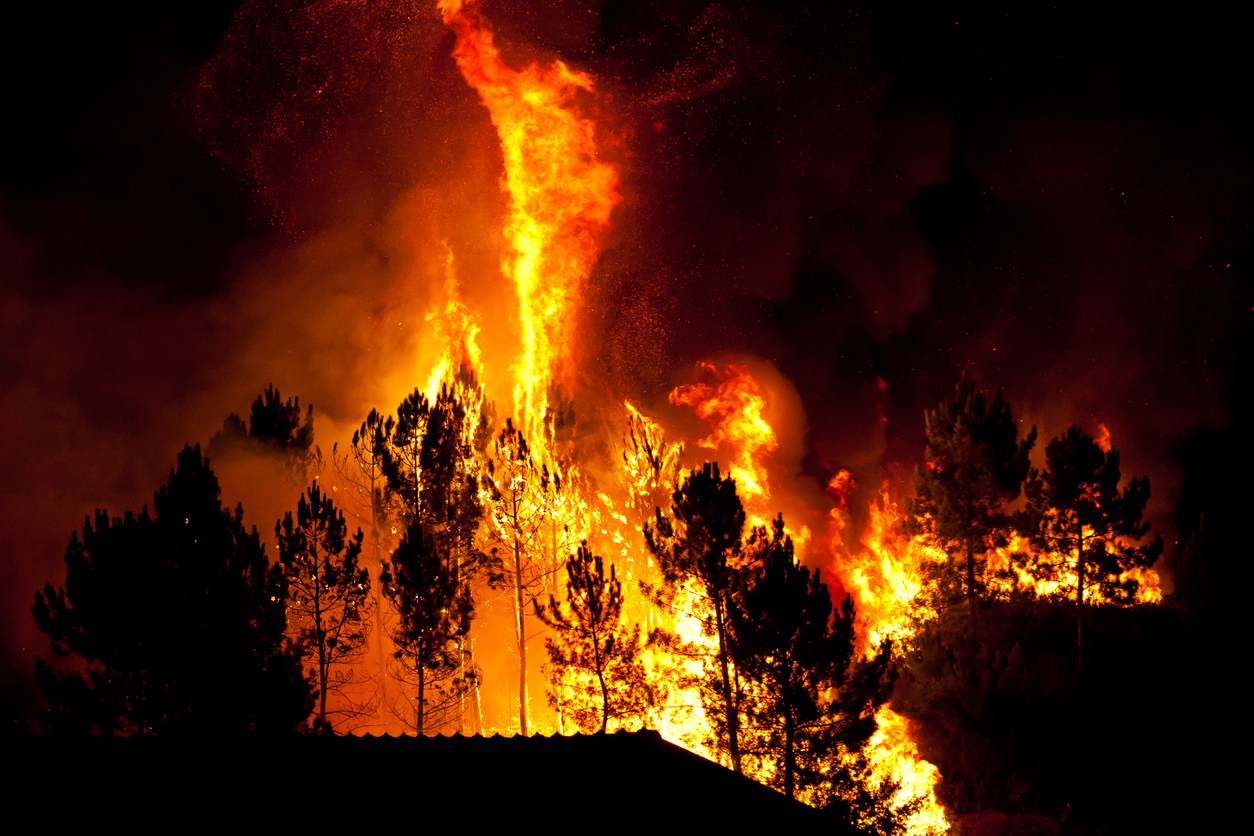 Forest fire near houses in Povoa de Lanhoso, Portugal