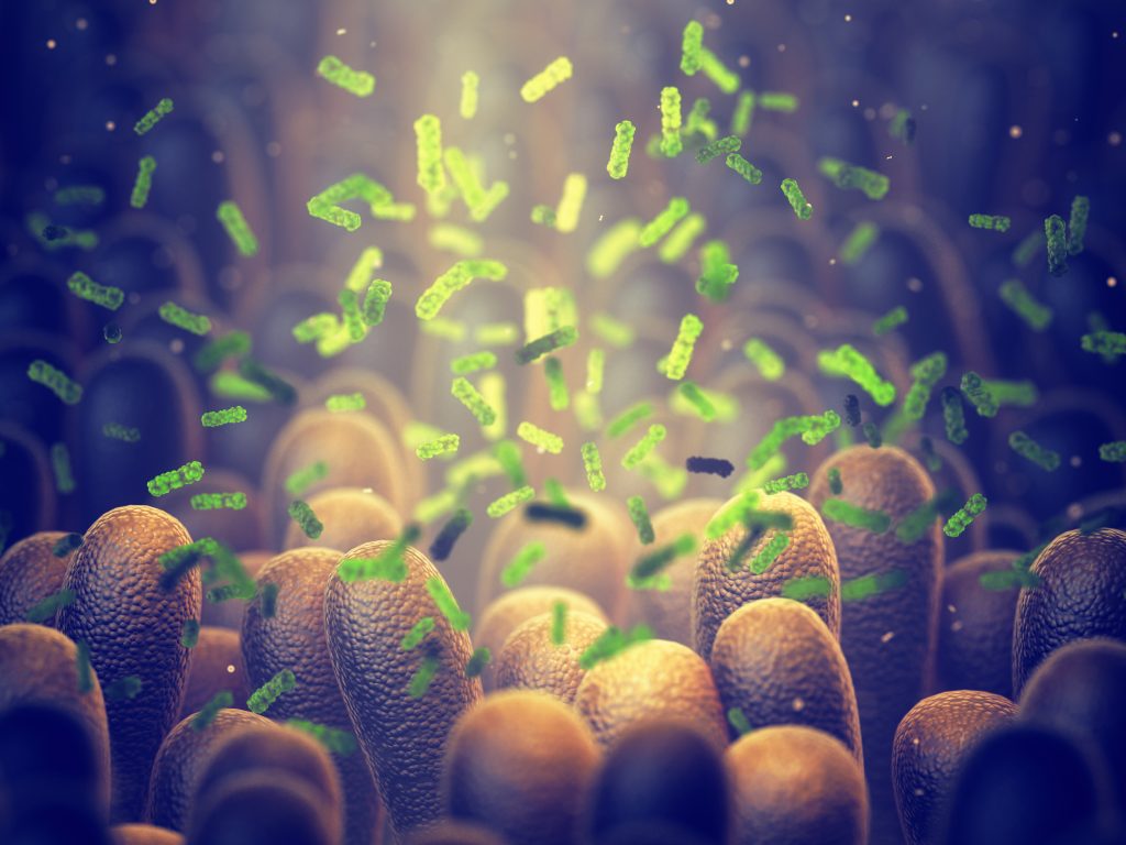 Microbes and Skincare - Insights from Innovator Activity at the European Patent Office