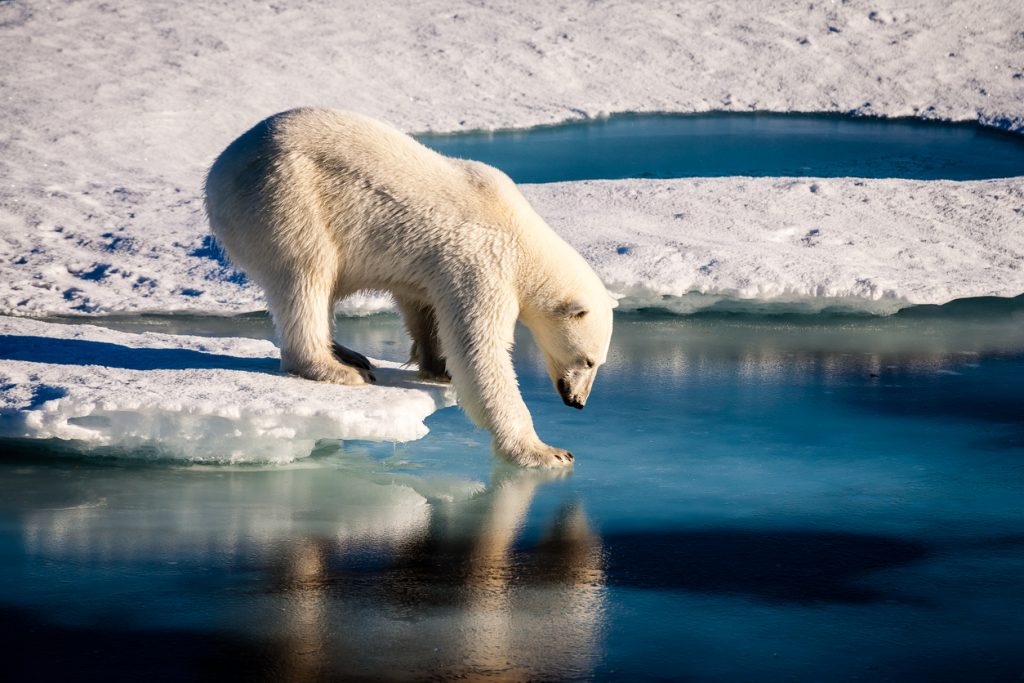 Ninth Circuit Rejects Permit for Arctic Oil-Drilling Project