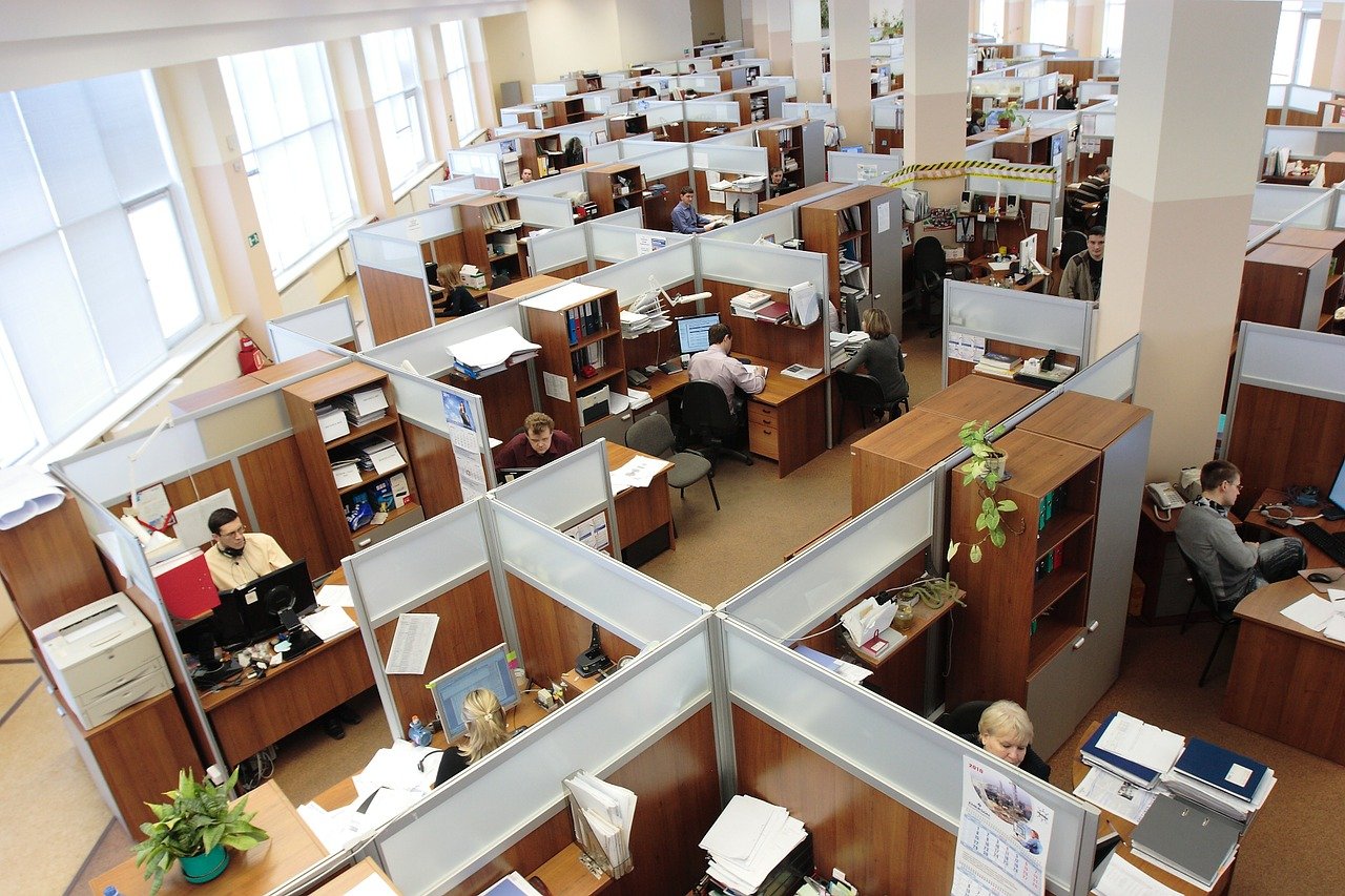 Office workers sat at desks