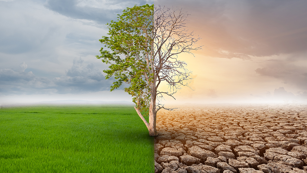 Thomas Englerth takes a look at the growing threat posed to businesses by climate change litigation.