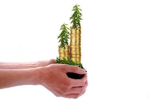 Plants growing from stack of gold coins