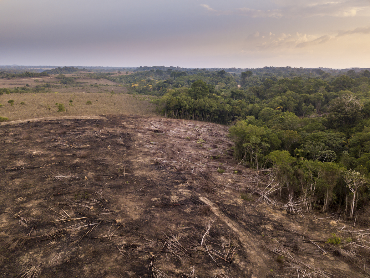 Drone view of deforestation, Brazil.