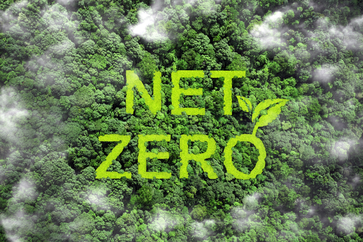 Net zero and carbon neutral concept.Net Zero text on green grass with forest for net zero greenhouse gas emissions target Climate neutral long term strategy on a green background. Carbon Neutrality.