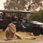 Planning Your Ultimate African Safari?