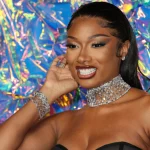 Megan Thee Stallion Takes Legal Action Against Blogger for Harassment