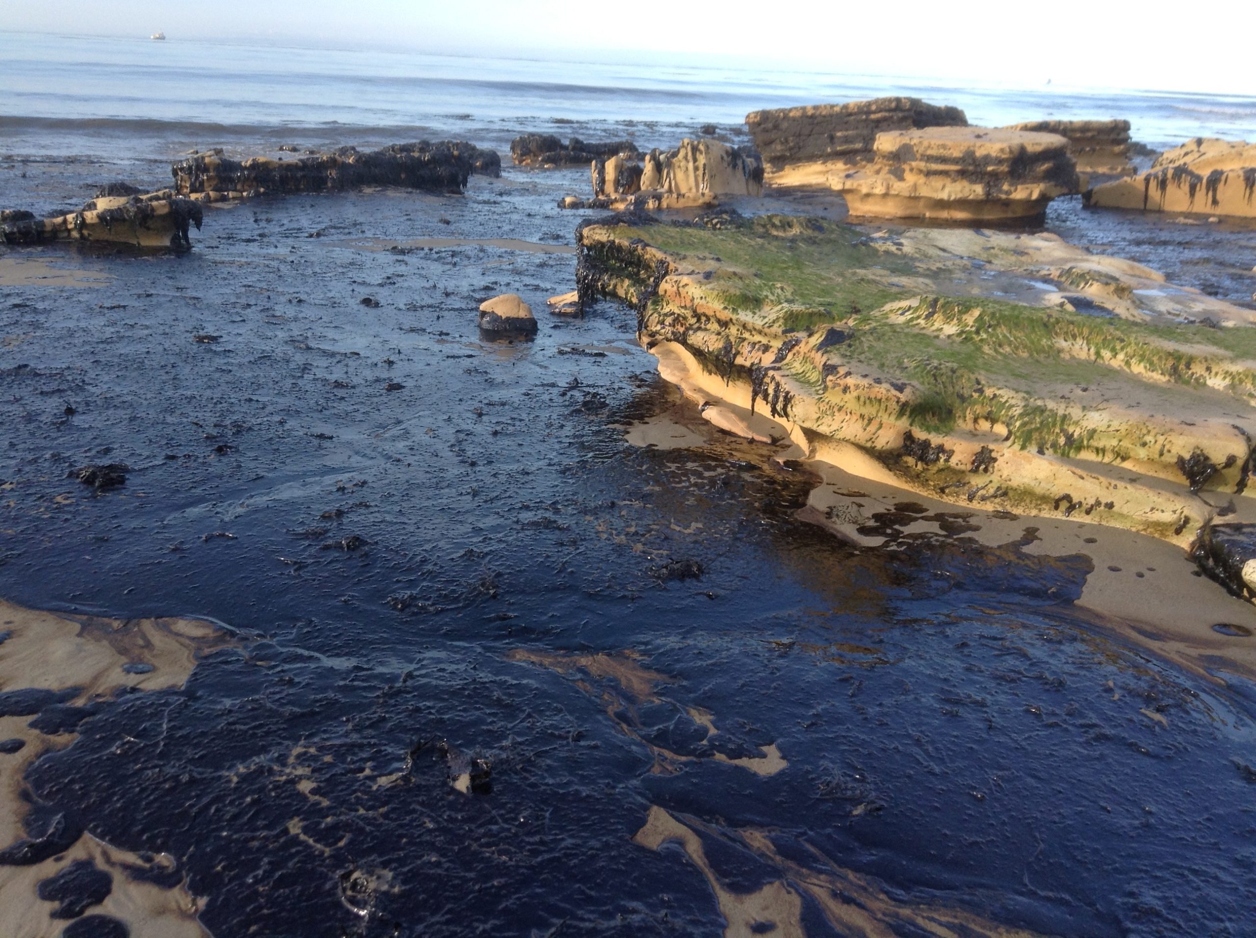 Refugio beach in Santa Barbara, California, in 2015