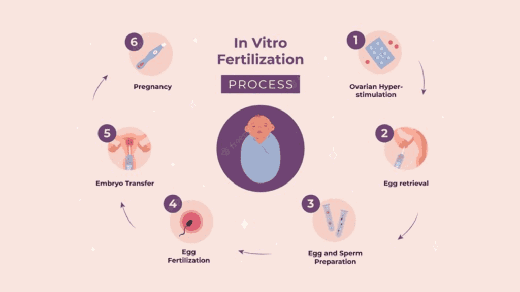 ivf 6 things you should know before starting the ivf treatment process 1024x576