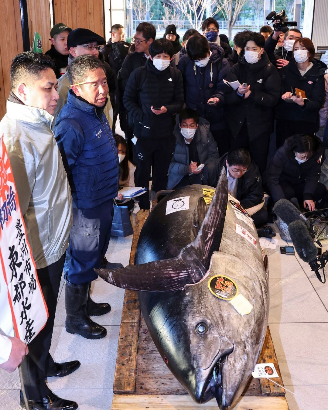 A bluefin tuna