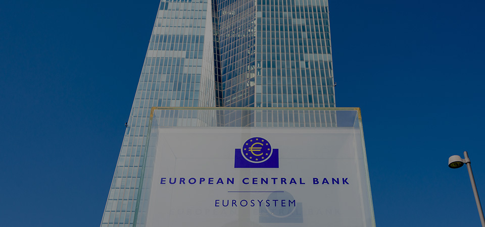 the european central bank (ecb)