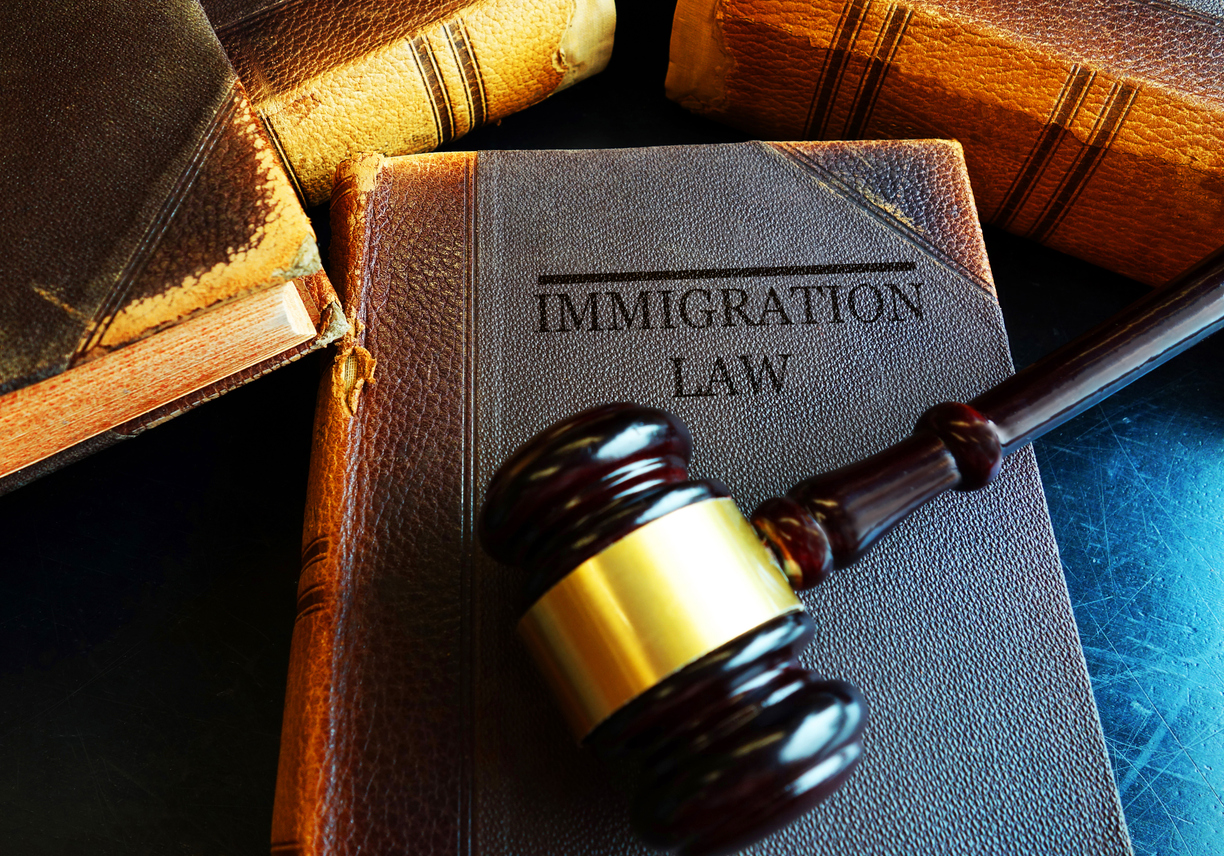 immigration law concept